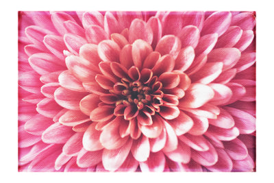 Pink Chrysanthemum - Canvas Print - Abstract Category