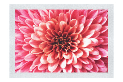 Pink Chrysanthemum - Fine Art Print - Abstract Category