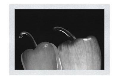 Capsicum Contrast - Monochrome Fine Art Print - Food Art Category