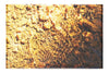 Reflection - Canvas Print - Abstract Category