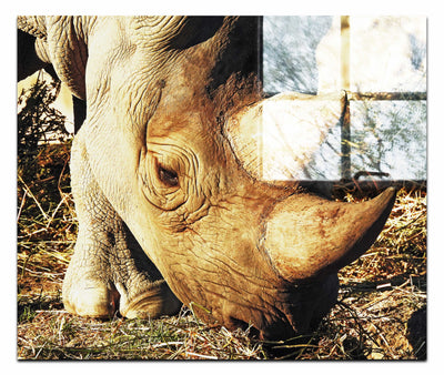 Ancient Guardian - Acrylic Print - Wildlife Category