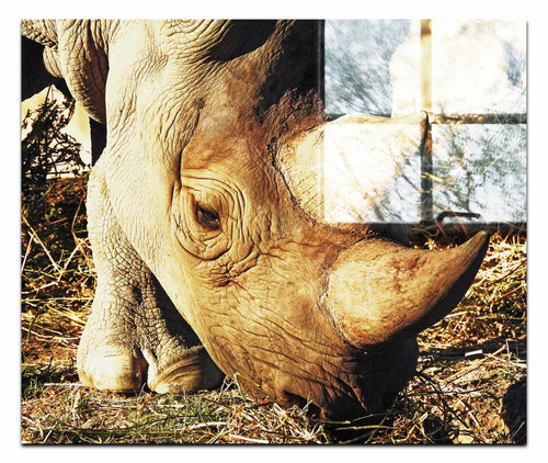 Ancient Guardian - Acrylic Print - Wildlife Category