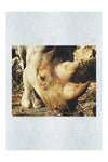 Ancient Guardian - Fine Art Print - Wildlife Category