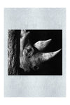Rhinoceros - Monochrome Fine Art Print - Rare Edition Category
