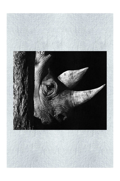 Rhinoceros - Monochrome Fine Art Print - Rare Edition Category