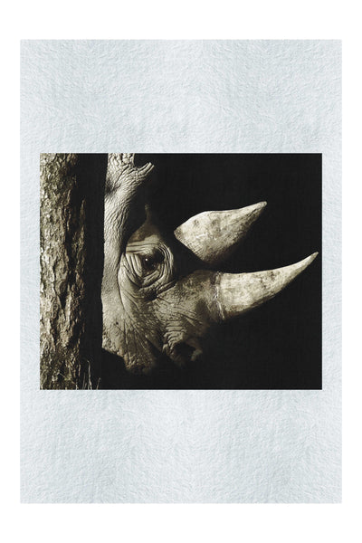 Rhinoceros - Fine Art Print - Rare Edition Category