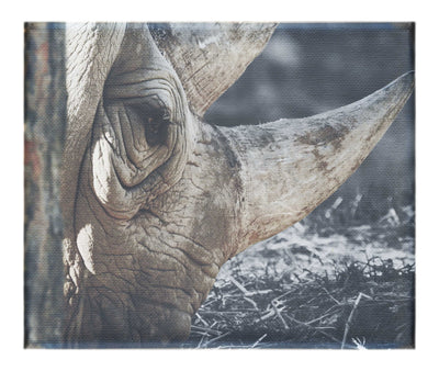 Rhinoceros Side Profile - Canvas Print - Rare Edition Category