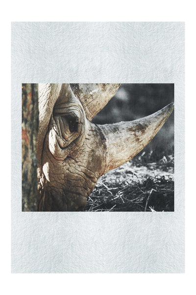 Rhinoceros Side Profile - Fine Art Print - Rare Edition Category