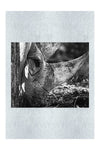 Rhinoceros Side Profile - Monochrome Fine Art Print - Rare Edition Category