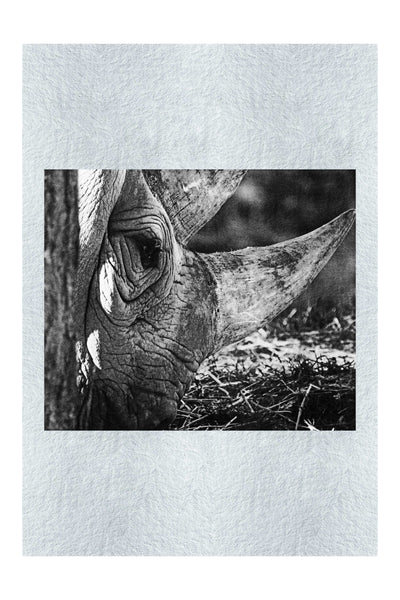 Rhinoceros Side Profile - Monochrome Fine Art Print - Rare Edition Category