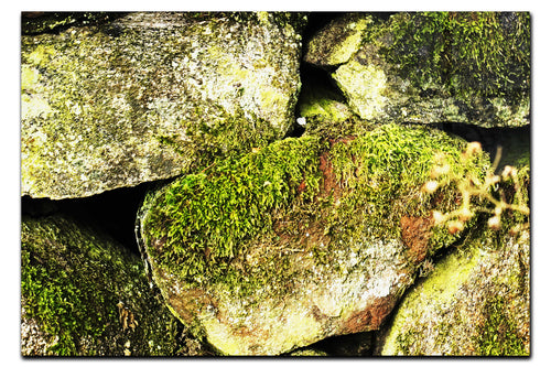 Stone and Verdure: A Timeless Embrace - Acrylic Print - Abstract Category