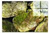 Stone and Verdure: A Timeless Embrace - Acrylic Print - Abstract Category