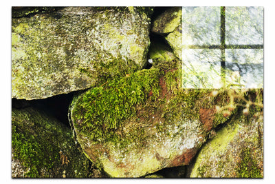 Stone and Verdure: A Timeless Embrace - Acrylic Print - Abstract Category