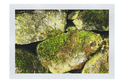 Stone and Verdure: A Timeless Embrace - Fine Art Print - Abstract Category