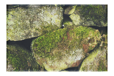 Stone and Verdure: A Timeless Embrace - Canvas Print - Abstract Category