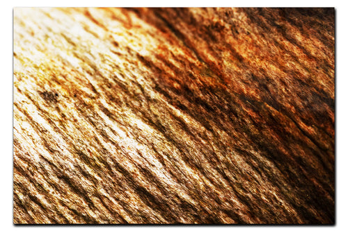 Lithic Tides: Waves of Stone - Acrylic Print - Abstract Category