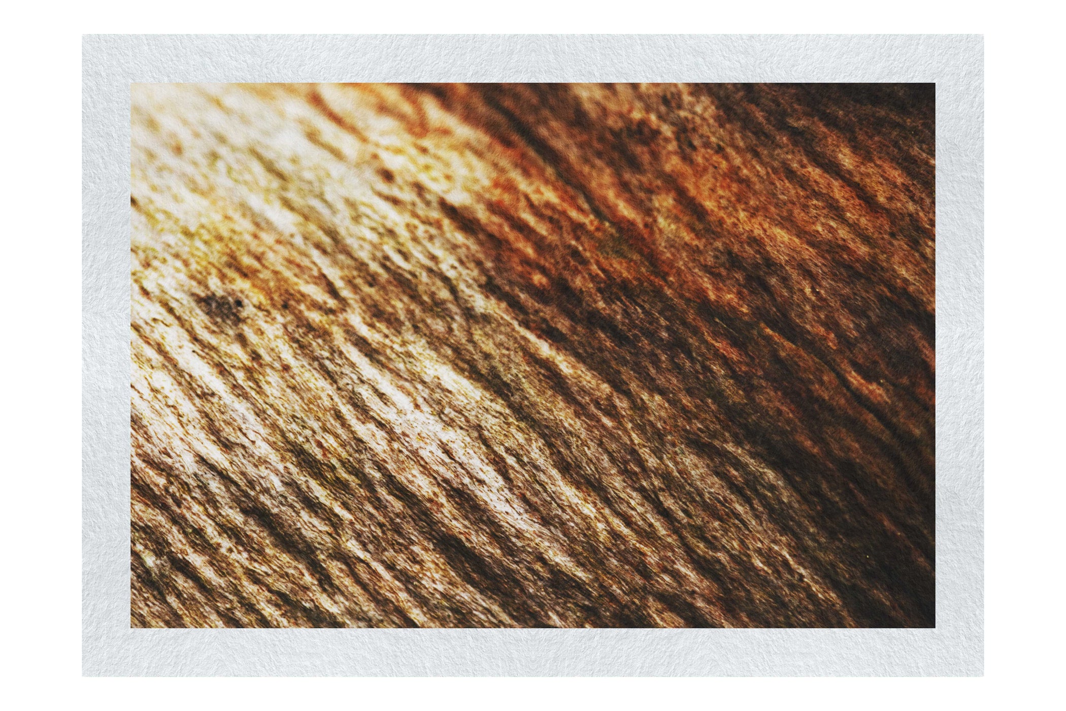 Lithic Tides: Waves of Stone - Fine Art Print - Abstract Category