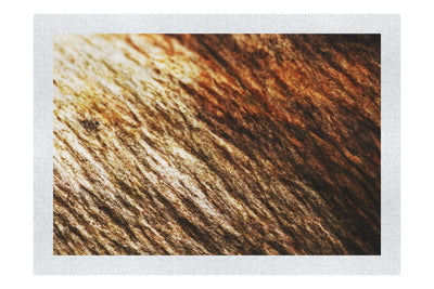 Lithic Tides: Waves of Stone - Fine Art Print - Abstract Category