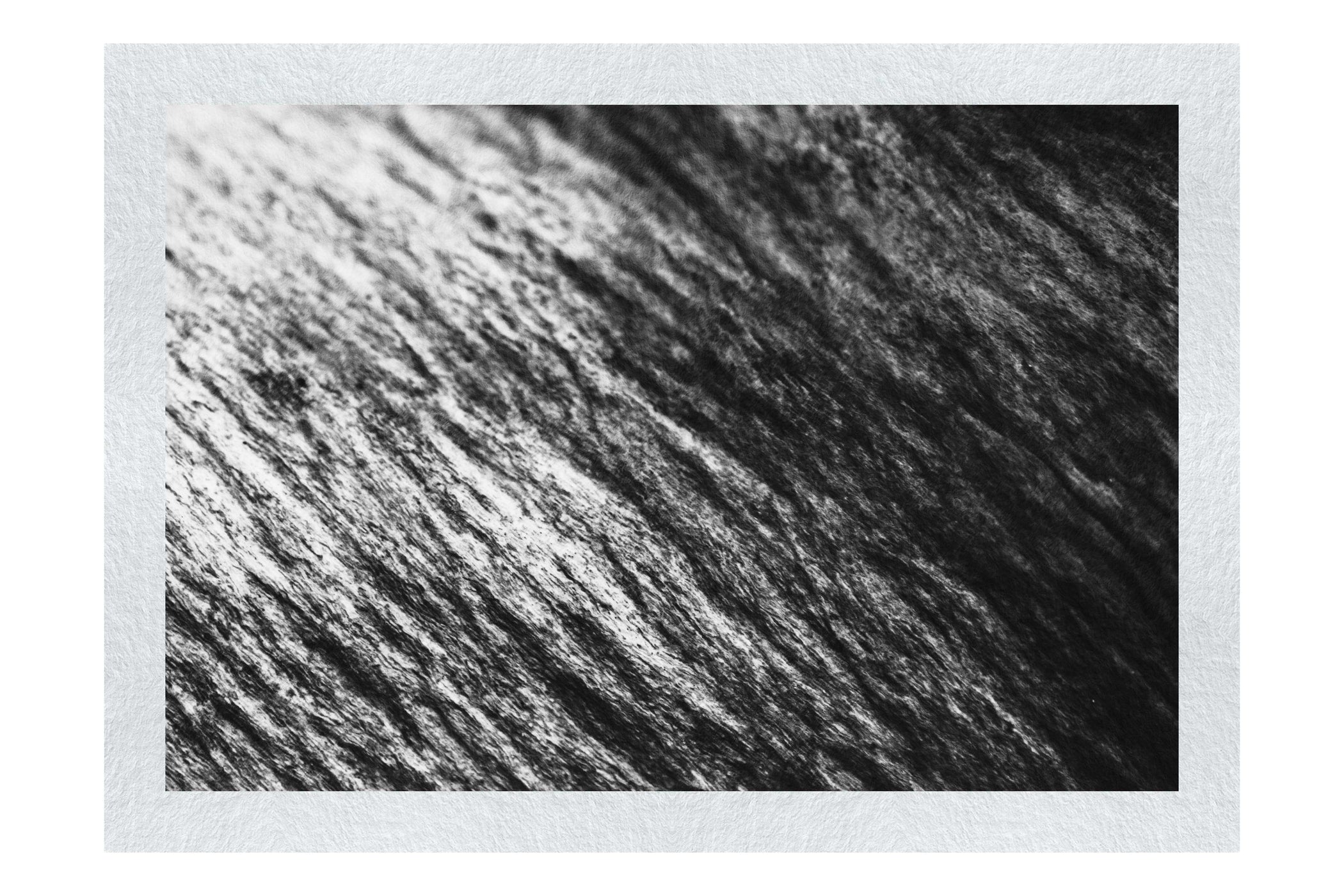 Lithic Tides: Waves of Stone - Monochrome Fine Art Print - Abstract Category
