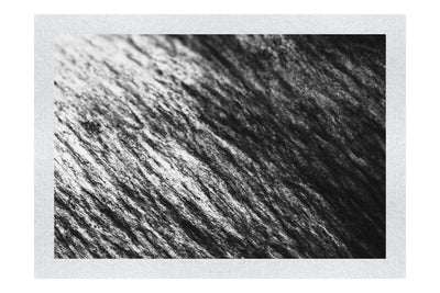 Lithic Tides: Waves of Stone - Monochrome Fine Art Print - Abstract Category