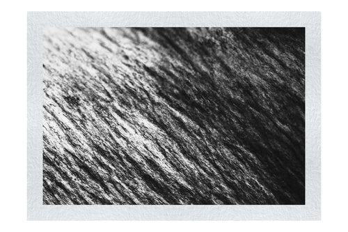 Lithic Tides: Waves of Stone - Monochrome Fine Art Print - Abstract Category