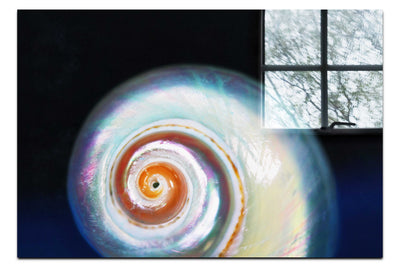Holographic Nautilus Shell - Acrylic Print - Aquatic Category