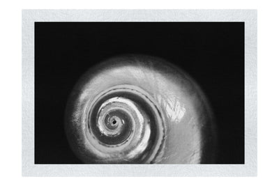 Holographic Nautilus Shell - Monochrome Fine Art Print - Aquatic Category