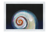 Holographic Nautilus Shell - Fine Art Print - Aquatic Category