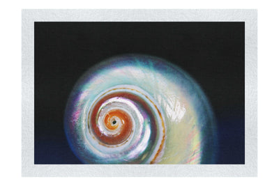 Holographic Nautilus Shell - Fine Art Print - Aquatic Category