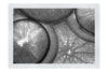 Citrus Crescents - Monochrome Fine Art Print - Food Art Category