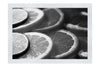 Citrus Splash - Monochrome Fine Art Print - Food Art Category