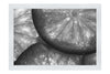 Citrus Sunburst: Orange Slice Symphony - Monochrome Fine Art Print - Food Art Category