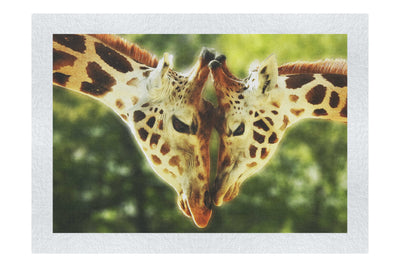 Giraffes Embrace - Fine Art Print - Wildlife Category