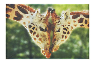 Giraffes Embrace - Canvas Print - Wildlife Category