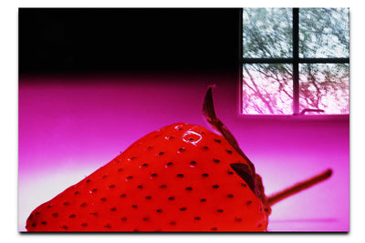 Strawberry Delight - Acrylic Print - Food Art Category