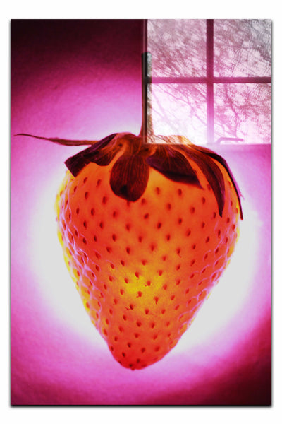 Strawberry Alight - Acrylic Print - Food Art Category