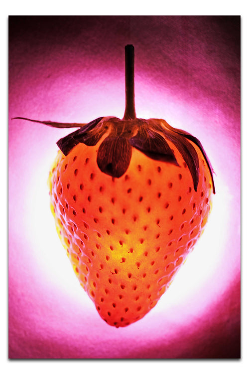 Strawberry Alight - Acrylic Print - Food Art Category