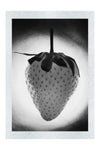 Strawberry Alight - Monochrome Fine Art Print - Food Art Category
