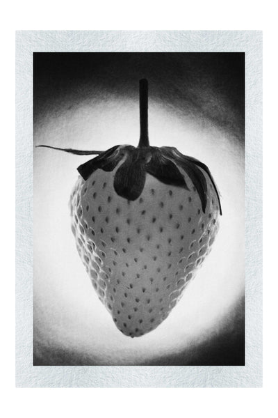 Strawberry Alight - Monochrome Fine Art Print - Food Art Category