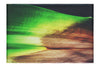 Botanical Spectrum: From Emerald to Russet - Canvas Print - Abstract Category