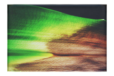 Botanical Spectrum: From Emerald to Russet - Canvas Print - Abstract Category