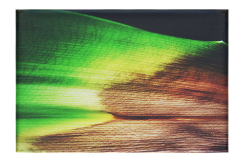 Botanical Spectrum: From Emerald to Russet - Canvas Print - Abstract Category