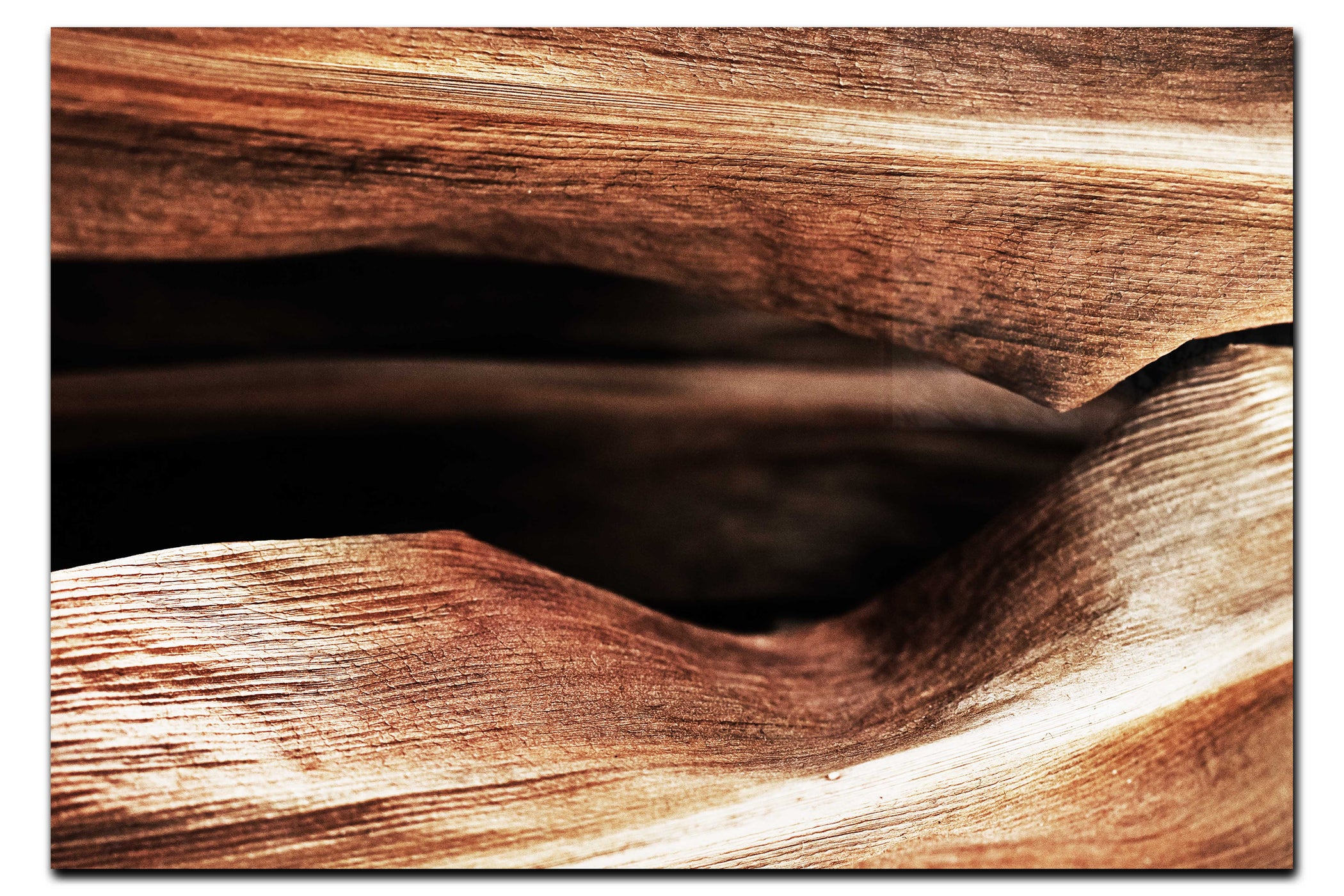 Grain and Shadow: A Leaf's Hidden Landscape - Acrylic Print - Abstract Category