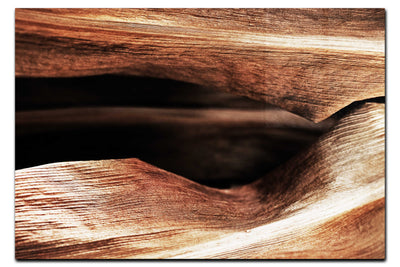 Grain and Shadow: A Leaf's Hidden Landscape - Acrylic Print - Abstract Category