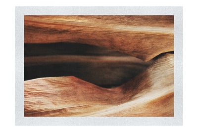 Grain and Shadow: A Leaf's Hidden Landscape - Fine Art Print - Abstract Category