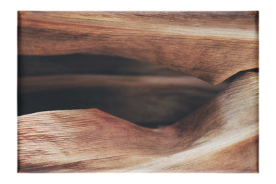 Grain and Shadow: A Leaf's Hidden Landscape - Canvas Print - Abstract Category