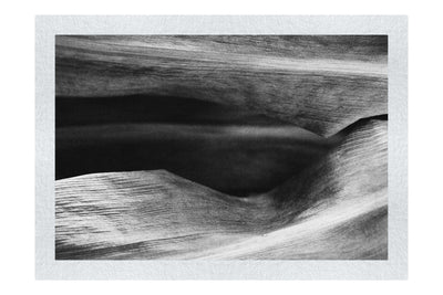 Grain and Shadow: Wood's Hidden Landscape - Monochrome Fine Art Print - Abstract Category