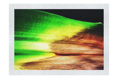 Botanical Spectrum: From Emerald to Russet - Fine Art Print - Abstract Category