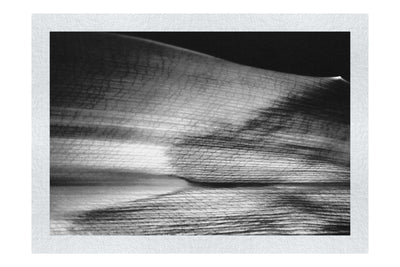 Botanical Spectrum: From Emerald to Russet - Monochrome Fine Art Print - Abstract Category