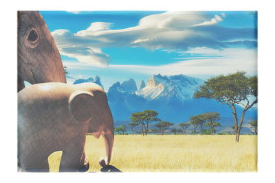 Surreal Elephant Landscape - Canvas Print - Rare Edition Category